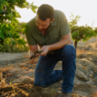 Iron Deficiency? Is pH the Problem?