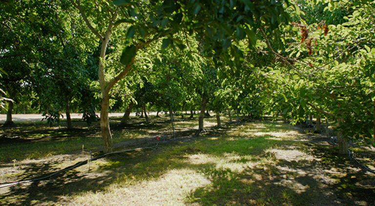 5 Answers to Heat Stress