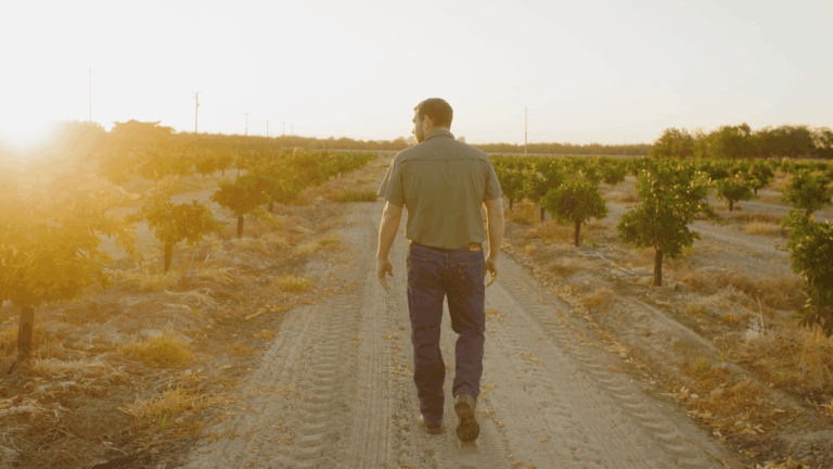 The Truth About Post-Harvest