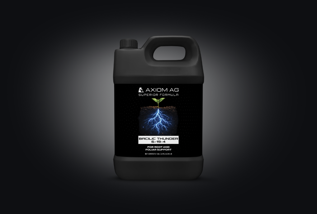 Bacilic-Thunder_Superior