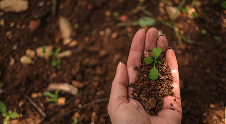 Functional Carbon Soil