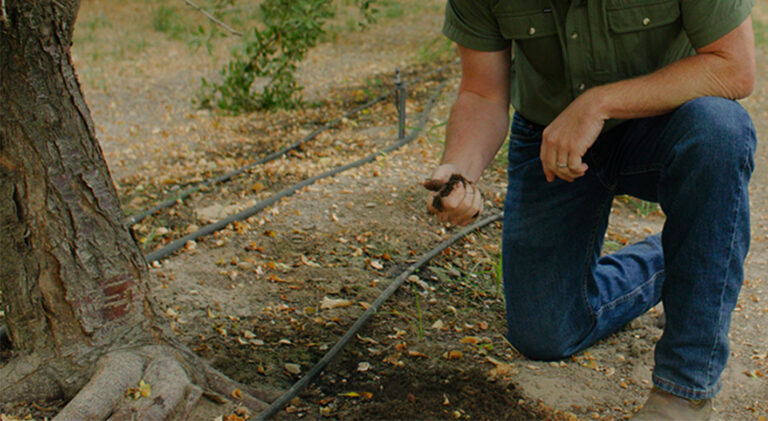 Healthy Soil Changes with the Season